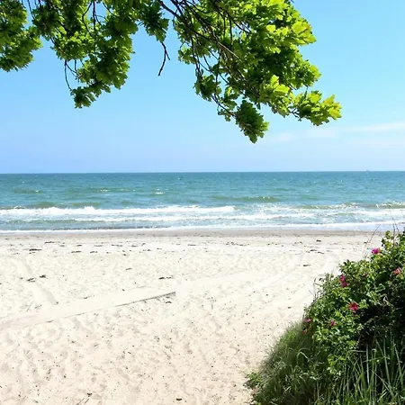 Strandnahe Fewo: Seaside Retreat With Terrace And Ahoi Access Apartment *