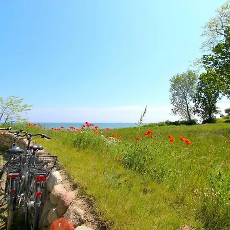 Strandnahe Mit Terrasse, Gratis Nutzung Vom Ahoi Erlebnisbad Und Sauna In Sellin - Rex Rugia 13-2 *
